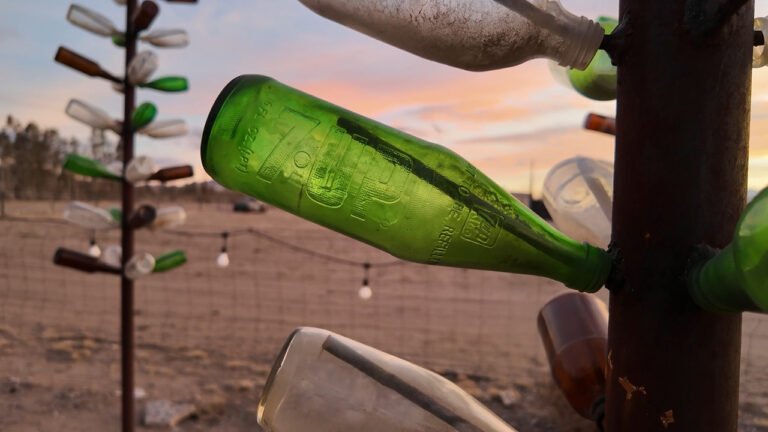Mehr über den Artikel erfahren Ein Wald aus Flaschen: Die Bottle Tree Ranch in Kalifornien